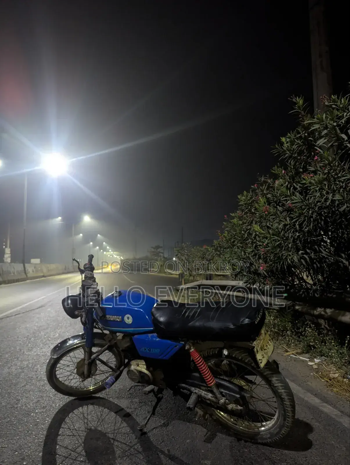 সুজুকি বাইক ২০১০ নীল