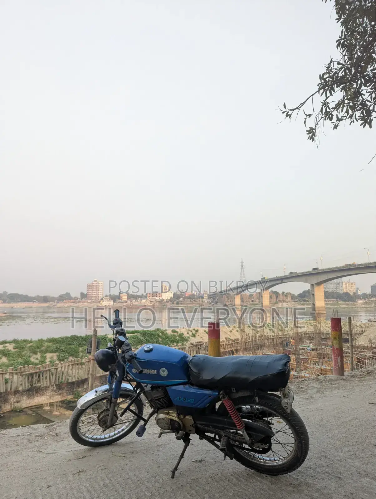 সুজুকি বাইক ২০১০ নীল