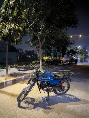 সুজুকি বাইক ২০১০ নীল