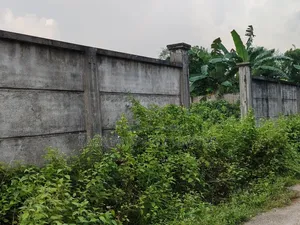3 katha plot for sale with 30 feet paved road.