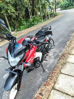 Bajaj Pulsar NS 160 2021 Red