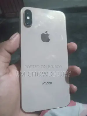 অ্যাপল আইফোন এক্সএস ৬৪ জিবি রোজ গোল্ড