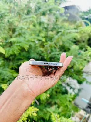 অ্যাপল আইফোন ১৫ প্রো ম্যাক্স ২৫৬ জিবি সিলভার