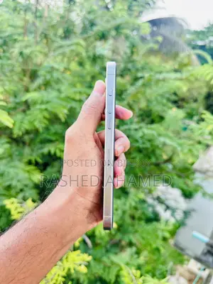 অ্যাপল আইফোন ১৫ প্রো ম্যাক্স ২৫৬ জিবি সিলভার