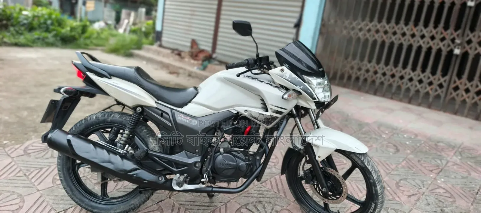 হিরো হাংক ২০১৯ হোয়াইট