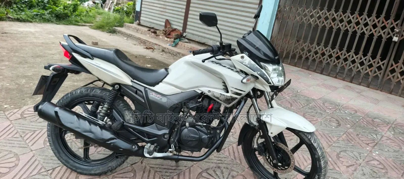 হিরো হাংক ২০১৯ হোয়াইট
