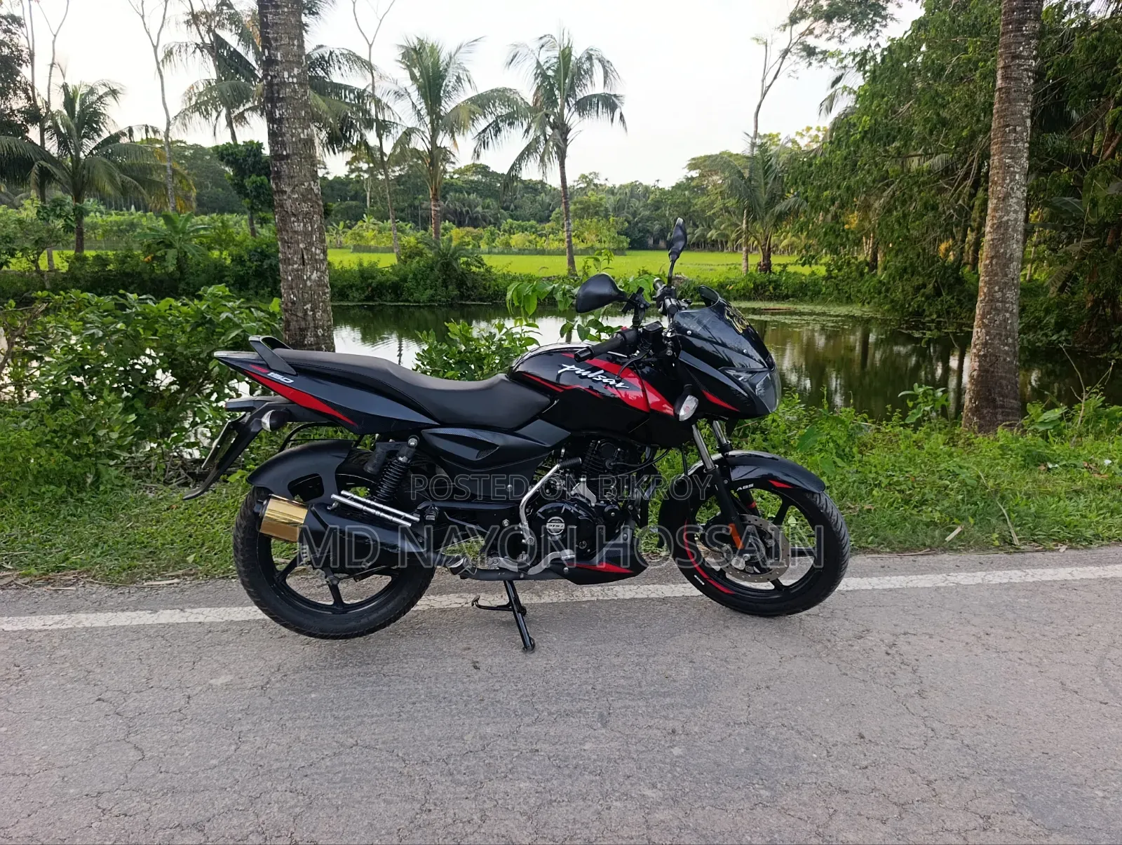 Bajaj Pulsar 150 2024 Black