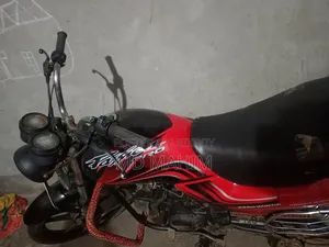 Hero Passion Pro 2008 Red