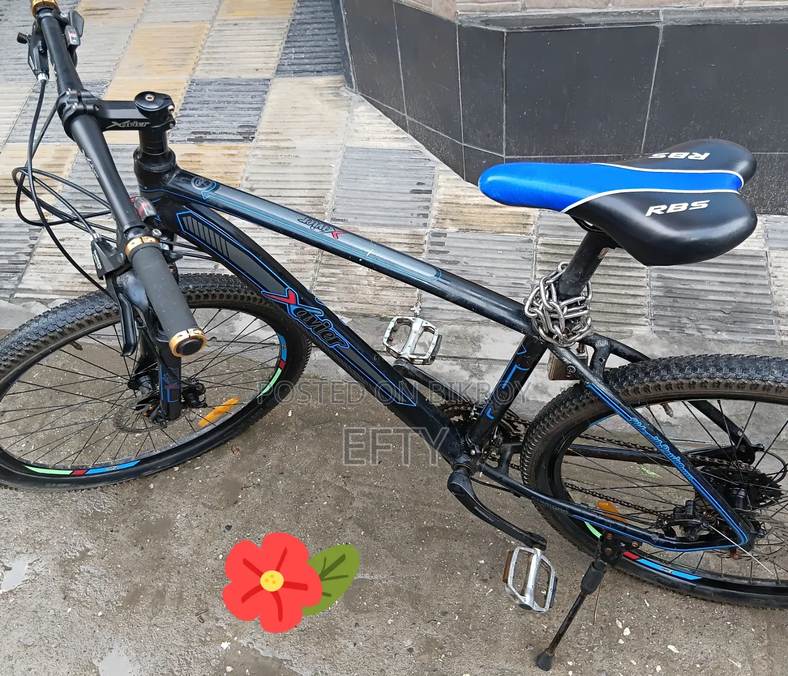 Duronto Xavier 26"
