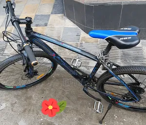 Duronto Xavier 26"