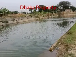 Corner Lake View 3 Katha East at Sector-15/D