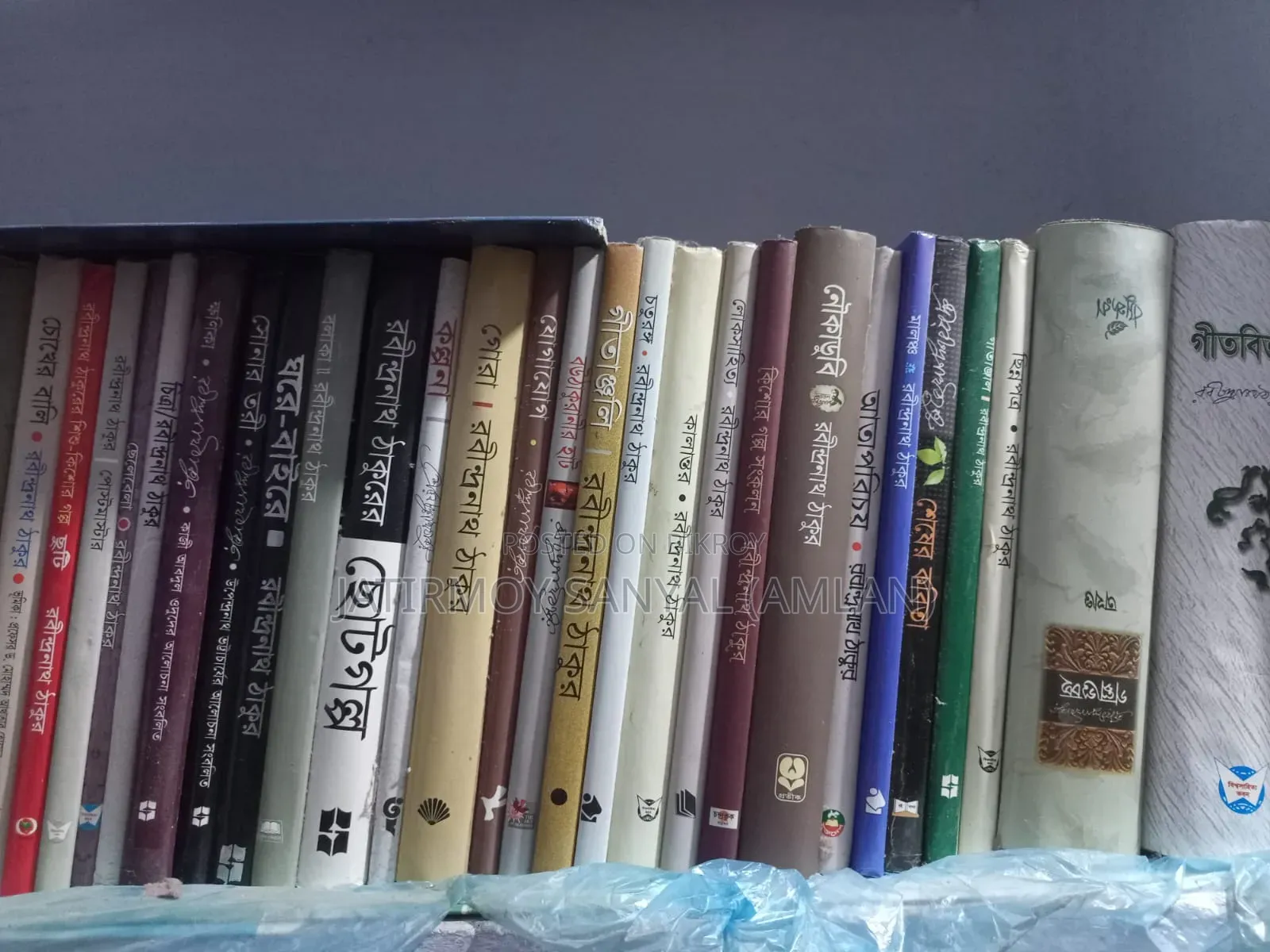 Rabindranath Tagore Famous Books
