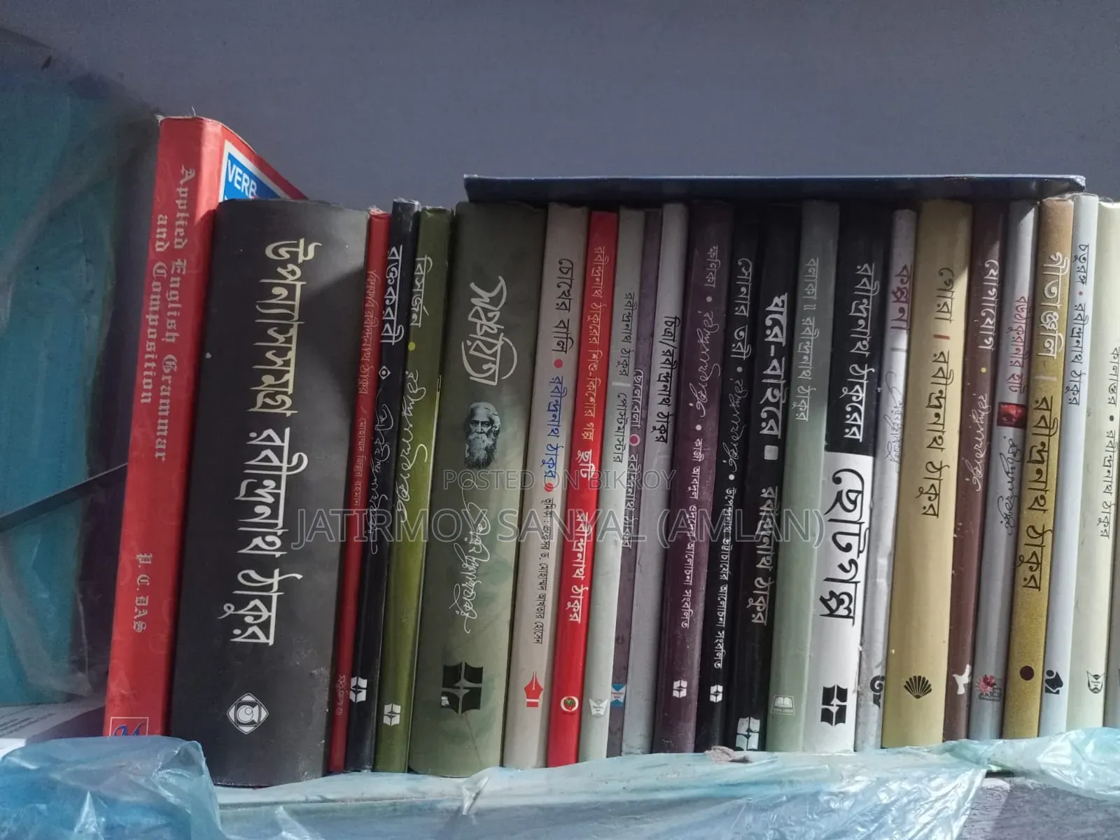 Rabindranath Tagore Famous Books