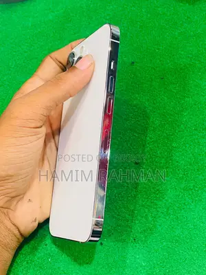 অ্যাপল আইফোন ১৩ প্রো ১২৮ জিবি সিলভার