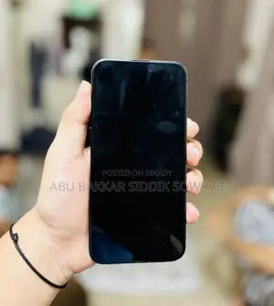 অ্যাপল আইফোন ১৫ প্রো ম্যাক্স ২৫৬ জিবি ব্ল্যাক