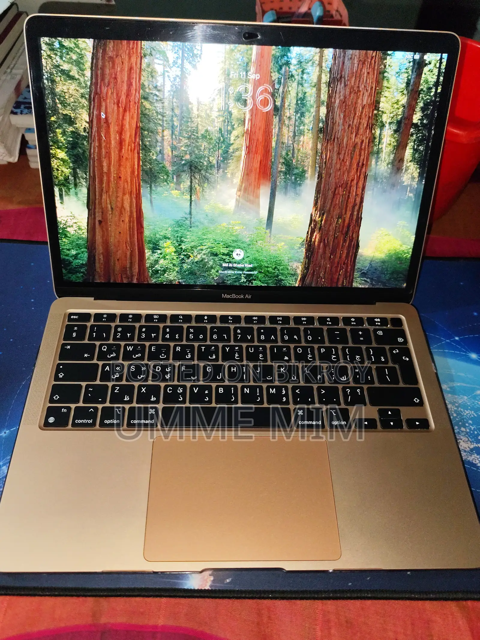 New Laptop Apple MacBook Air 2020 8GB Apple M1 SSD 256GB