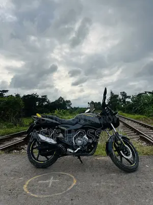 বাজাজ পালসার ১৫০ ২০১৯