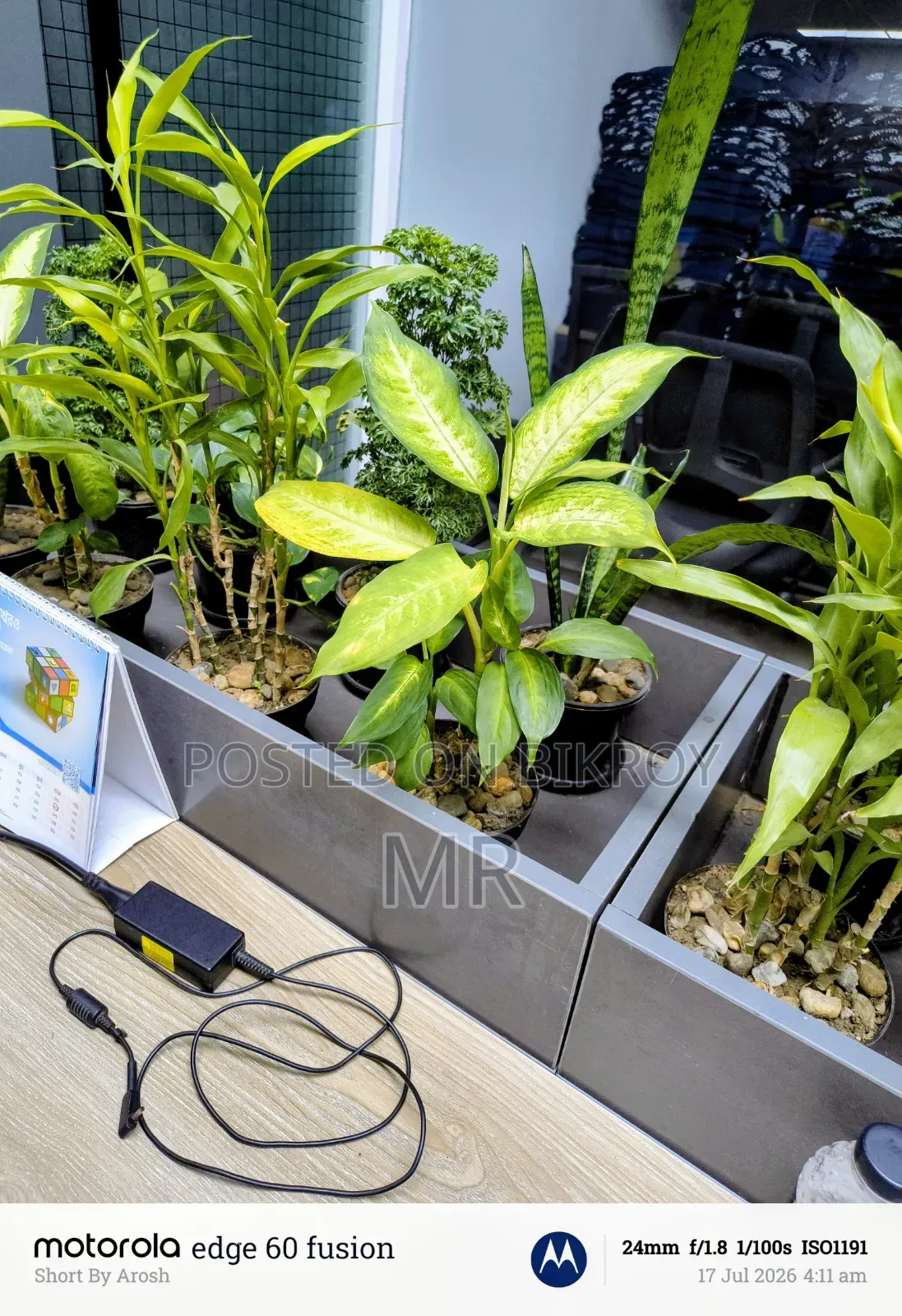 মোটোরোলা এজ ৬০ ফিউশন ২৫৬ জিবি পার্পল