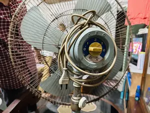 পাকিন্তানি ফ্যান