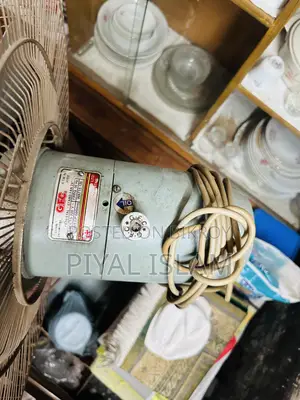 পাকিন্তানি ফ্যান