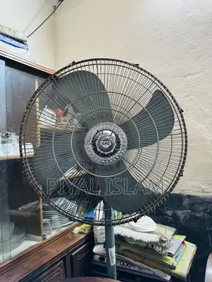 পাকিন্তানি ফ্যান