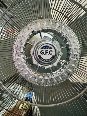পাকিন্তানি ফ্যান