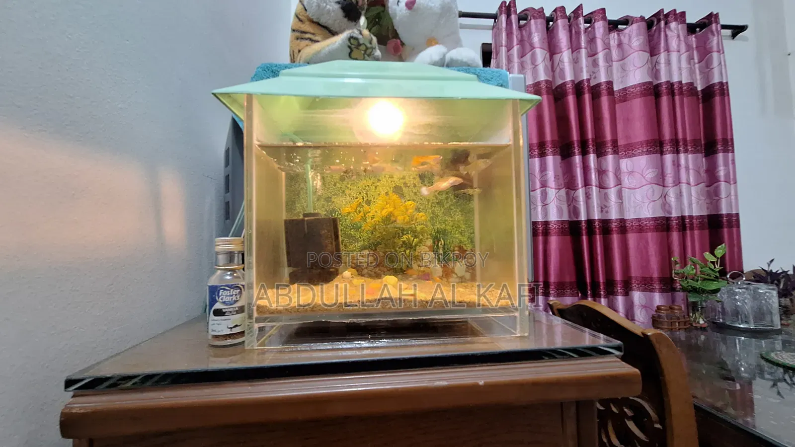 মাছ সহ অ্যাকোরিয়াম