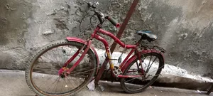 This Bicycle Will Be Sold