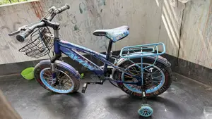 বাই সাইকেল ২০ সাইজ
