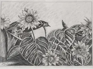 Handmade Pencil Sketch-Sunflower Art for Sale