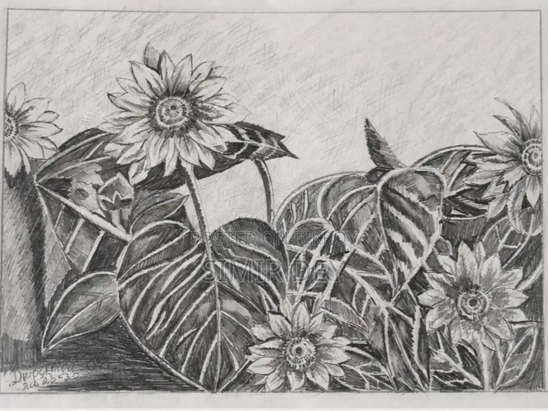 Handmade Pencil Sketch-Sunflower Art for Sale