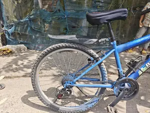 Gear Bicycle