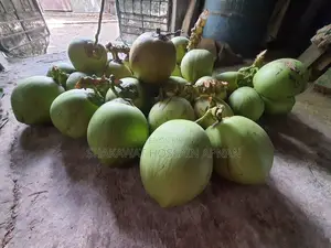 ডাব বিক্রেতা লাগবে