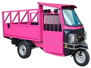 পিংক কারগো অটো রিকশা / মালামাল বহনের পিকআপ গাড়ি