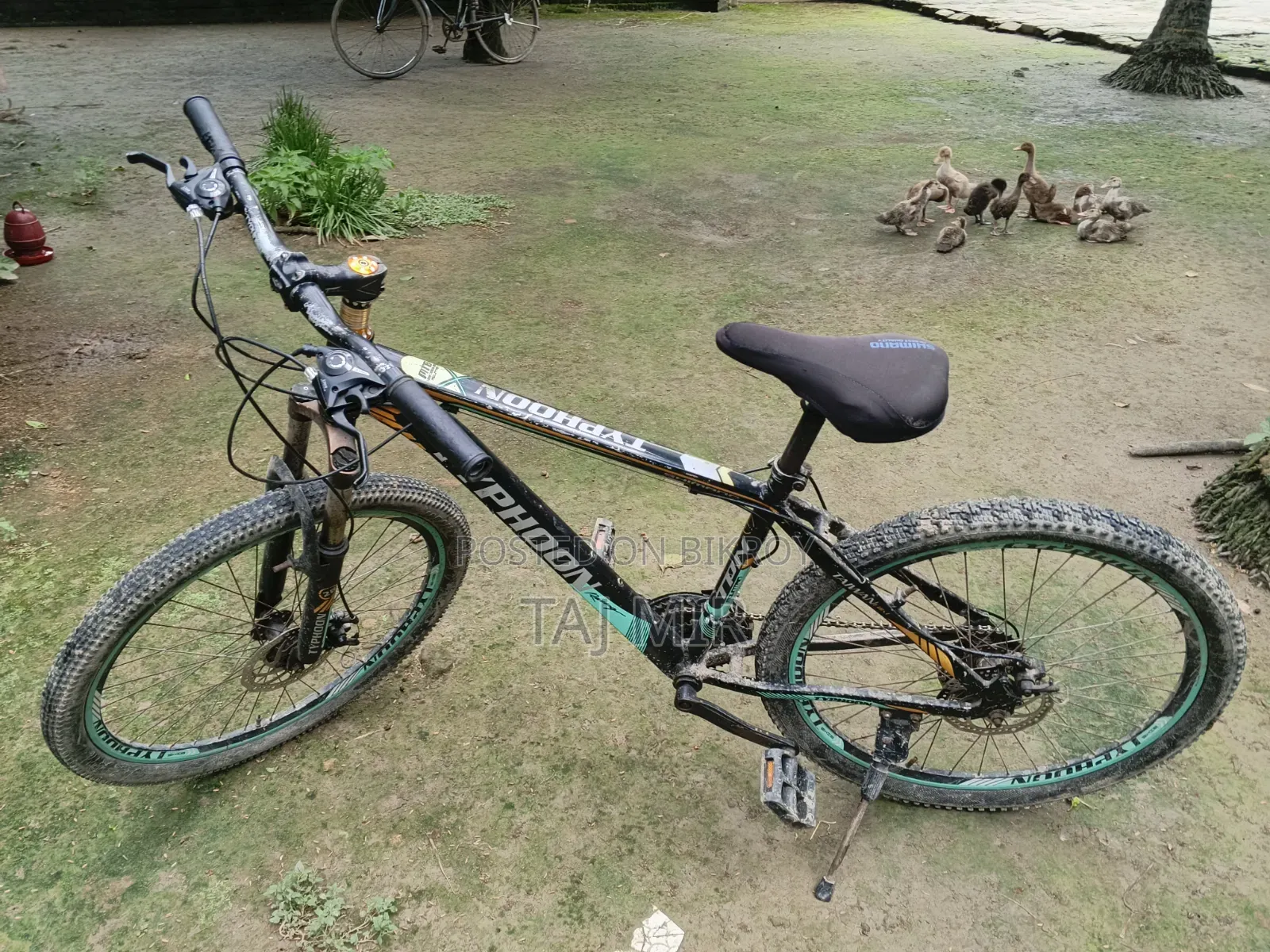 মোটামুটিমোটামুটি সবকিছুই ভালো কন্ডিশন