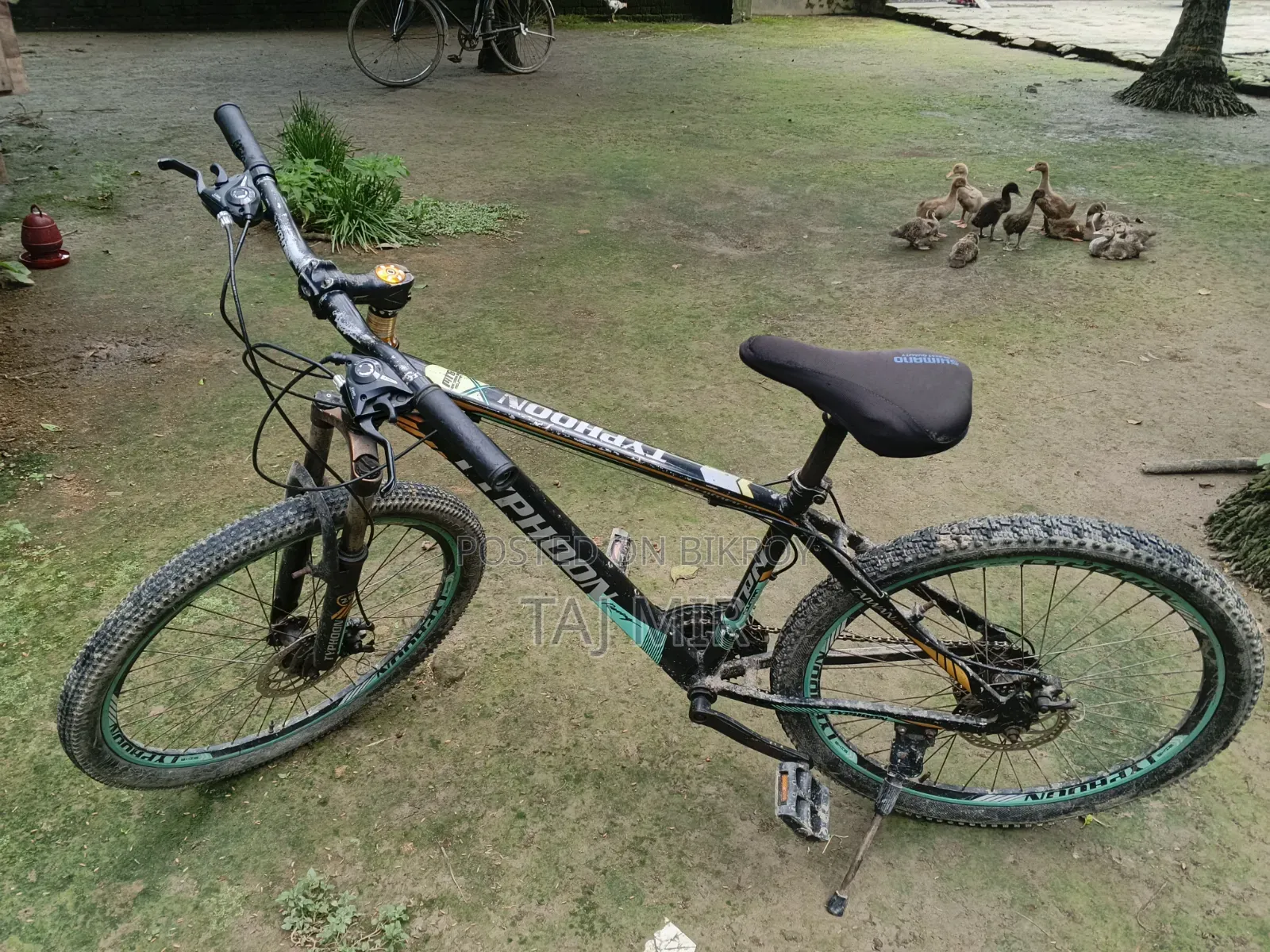 মোটামুটিমোটামুটি সবকিছুই ভালো কন্ডিশন