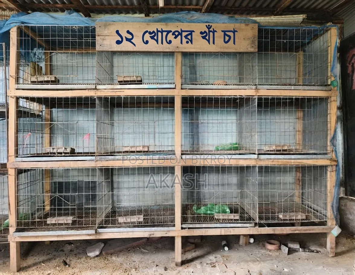 খাঁচা ২৪/৪৮