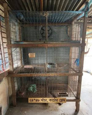 খাঁচা ২৪/৪৮