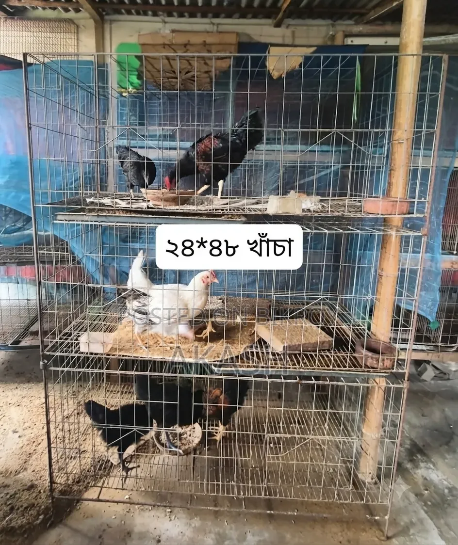 কবুতরের খাঁচা ২৪/৪৮
