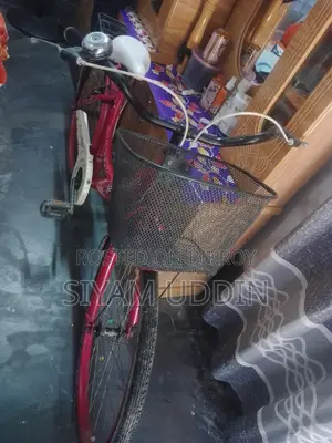 মেয়েদের সাইকেল বিক্রি করা হবে | ২ মাস ব্যবহৃত | ভালো অবস্থা