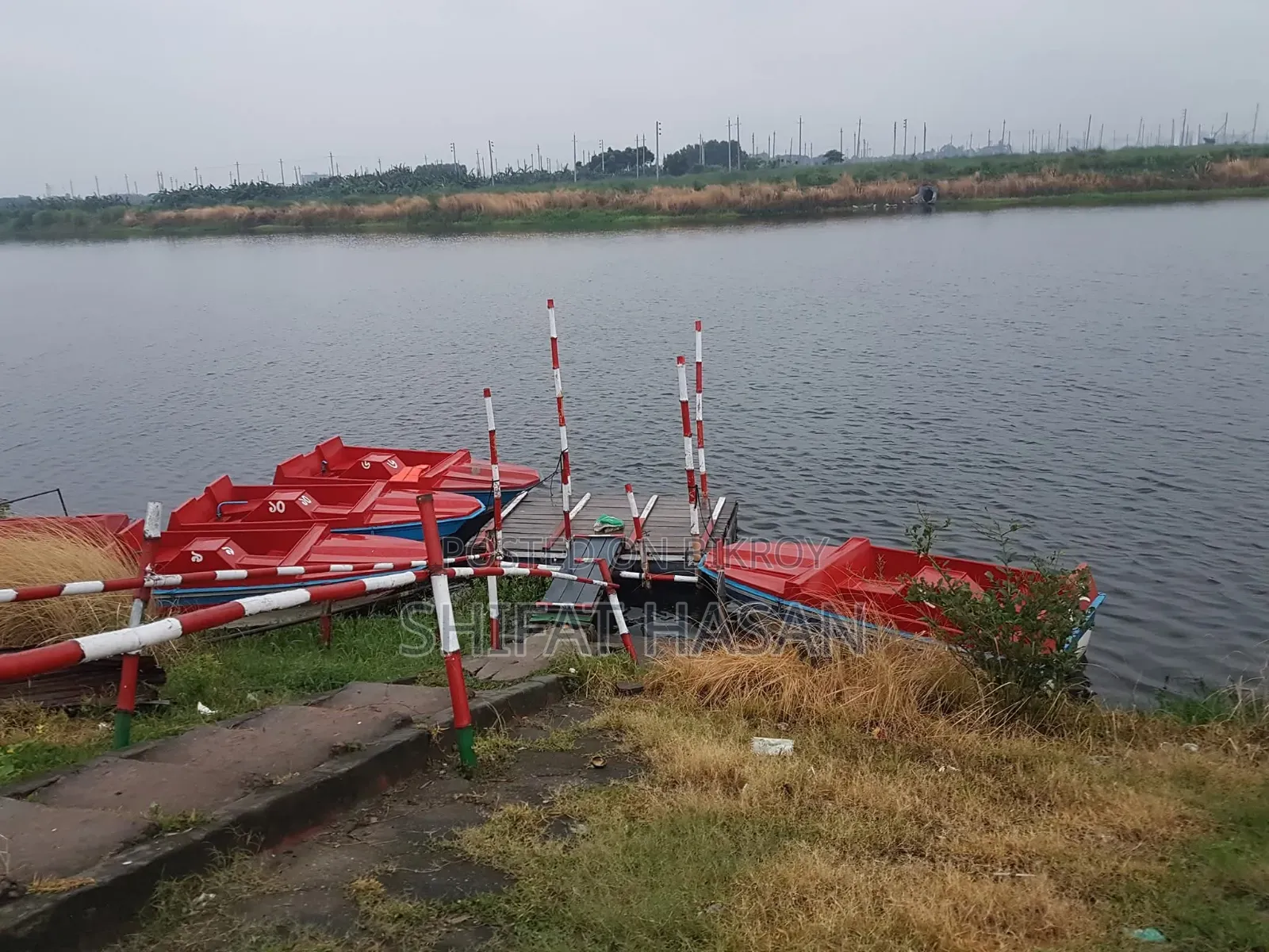 প্যাটেল বোড