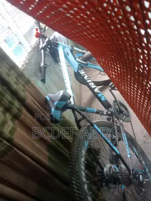 Bicycle Sell New