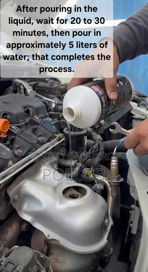 Catalytic Converter Cleaner
