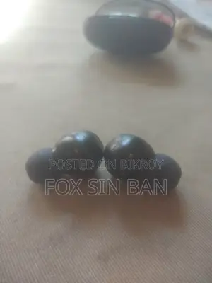 Uiisii T28 Earbuds