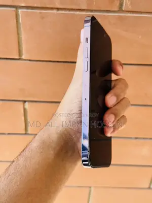 অ্যাপল আইফোন ১৪ প্রো ম্যাক্স ২৫৬ জিবি বেগুনি