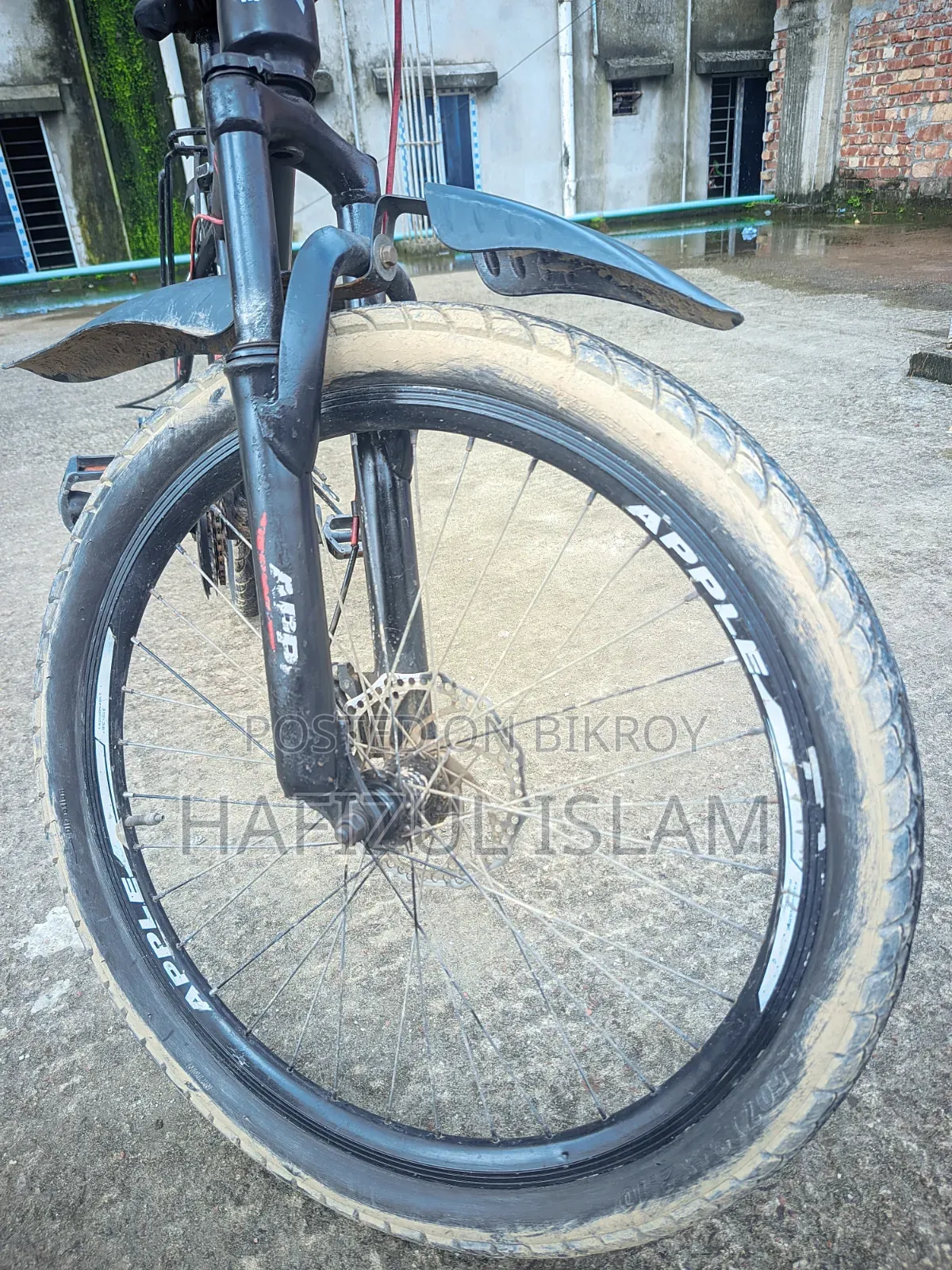 অ্যাপল/হাইব্রিড বাইসাইকেল বিক্রয় হবে