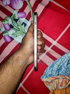 অ্যাপল আইফোন ১৬ প্রো ম্যাক্স ২৫৬ জিবি রোজ গোল্ড