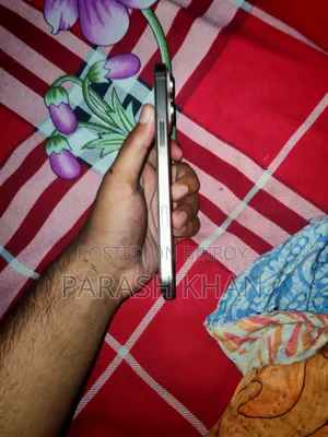 অ্যাপল আইফোন ১৬ প্রো ম্যাক্স ২৫৬ জিবি রোজ গোল্ড