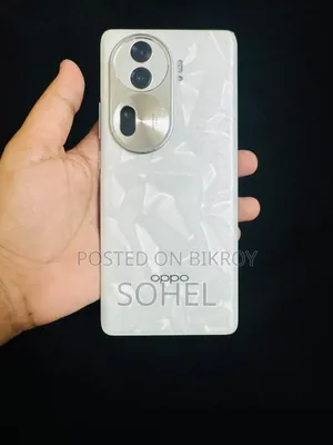 Oppo Reno11 Pro (China) 512 GB Silver