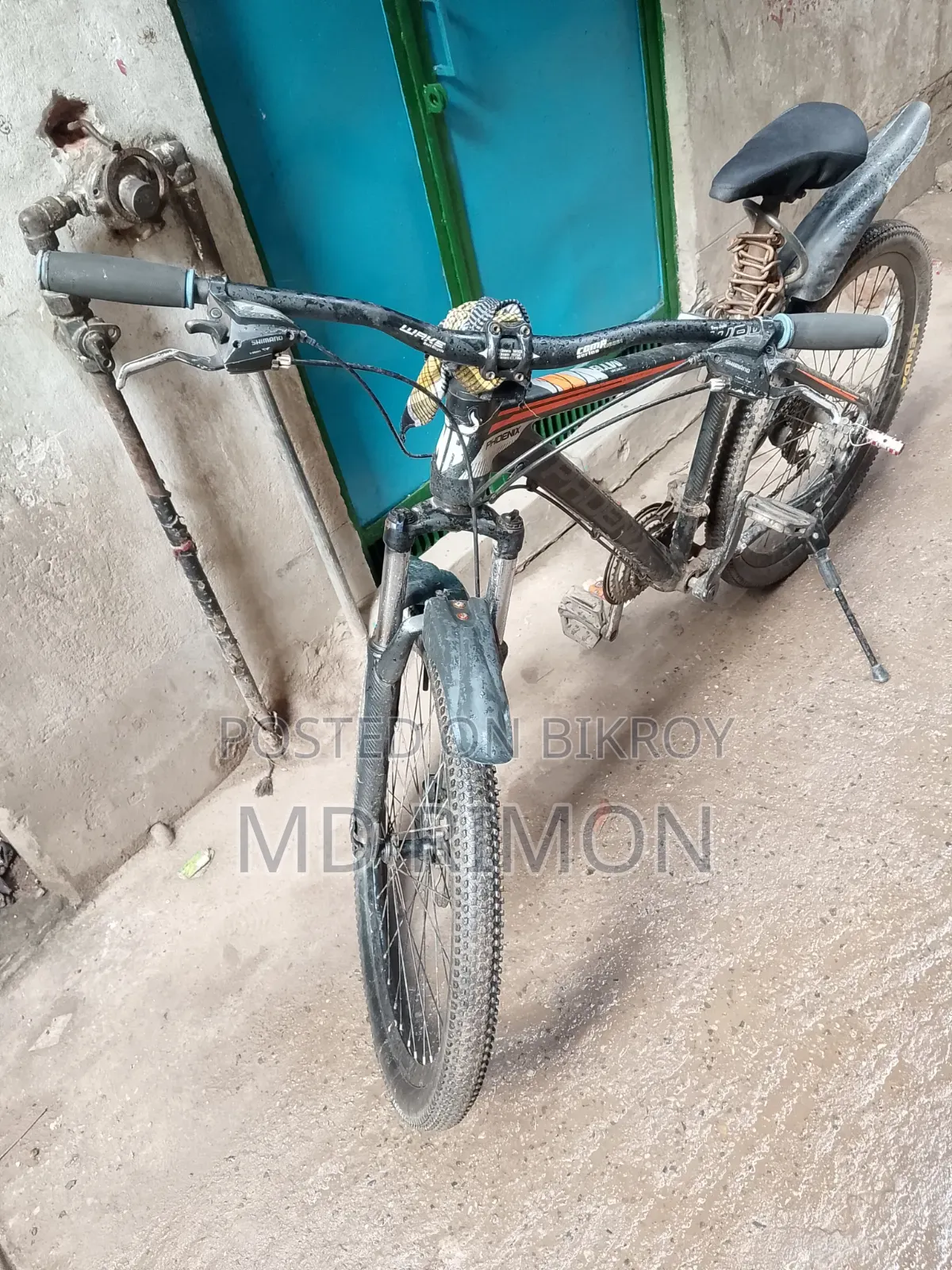 ফনিক্স মাউন্টেন বাইক